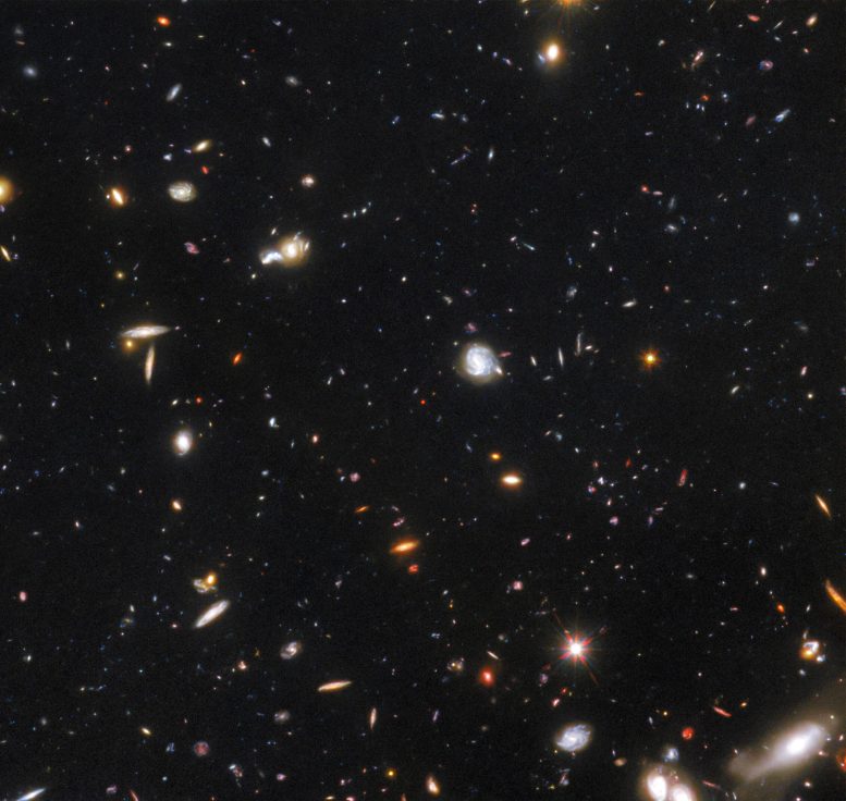 GNz7q in the Hubble GOODS-North Field