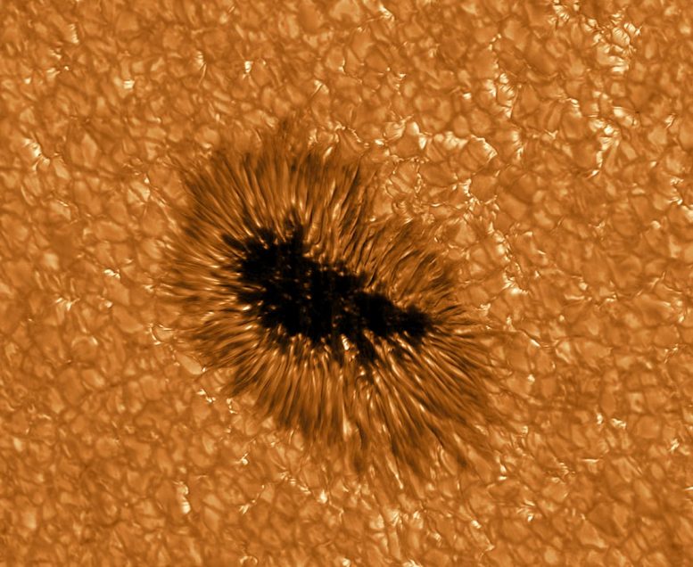 GREGOR Telescope Sunspot