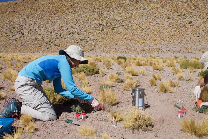 Gabriela Carrasco in the Atacama Desert