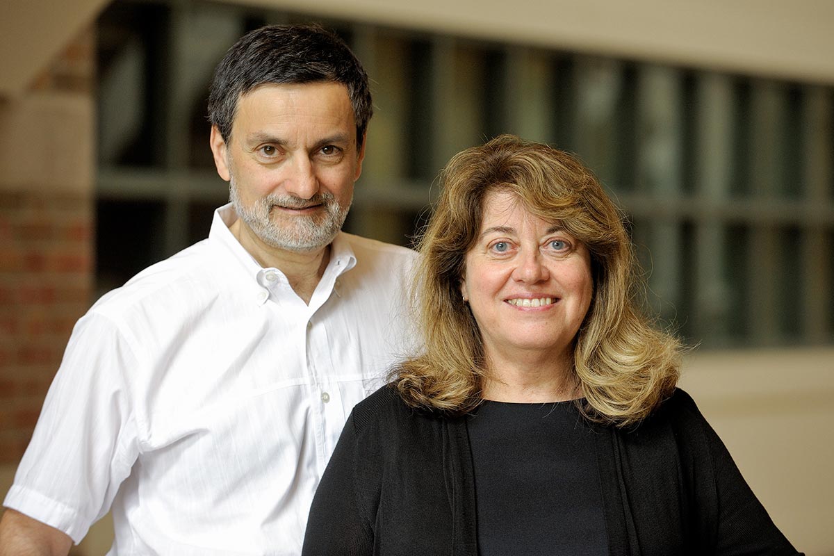 Can Drinking Cocoa Make You Smarter? Cocoa Flavanols Found to Boost