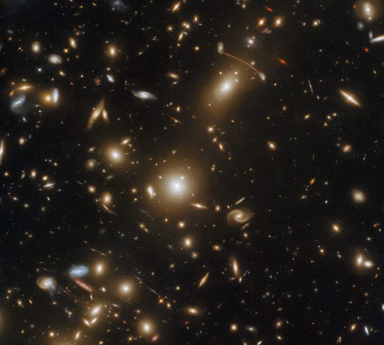 Galaxy Cluster Abell 1351