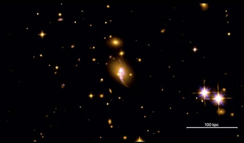 Galaxy Cluster CHIPS1911+4455