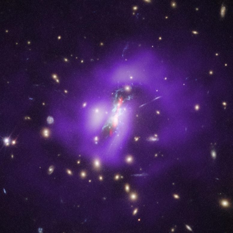 Galaxy Cluster Star Formation