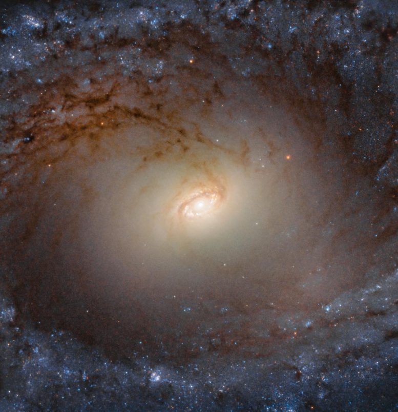 Galaxy IC 2051