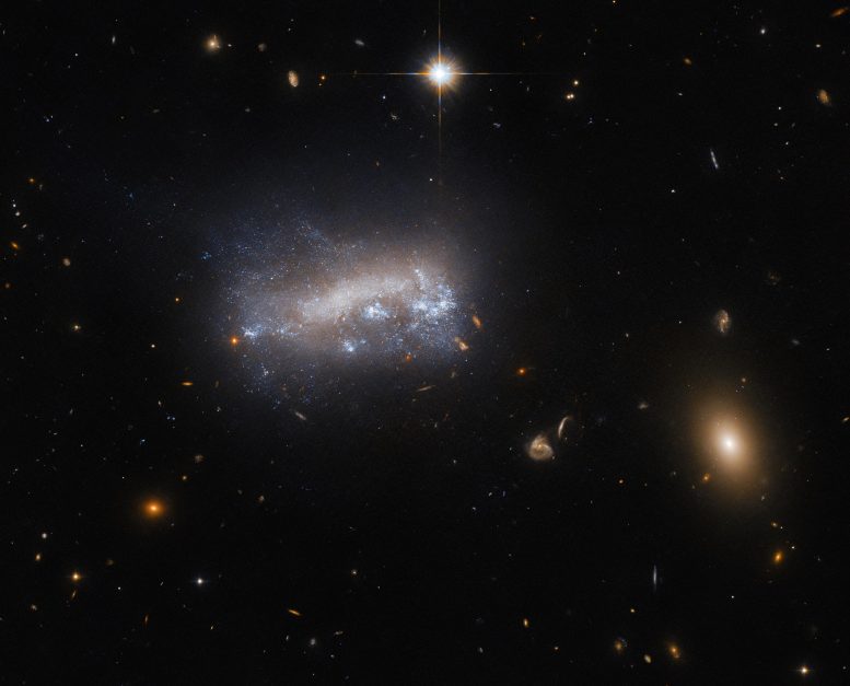 Galaxy LEDA 42160