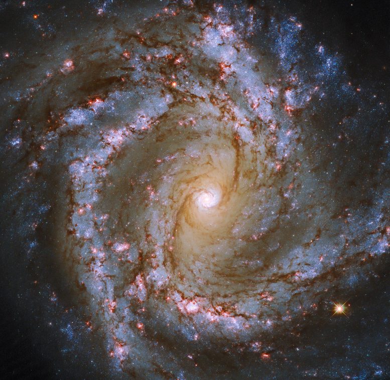 Galaxy M61
