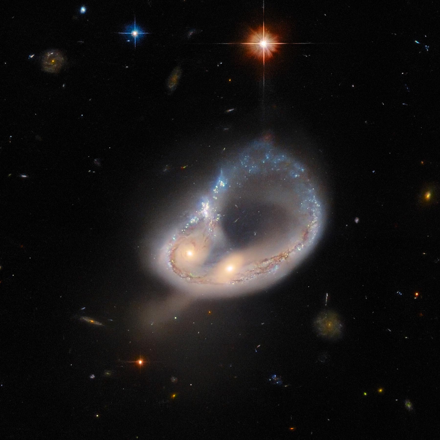 Hubble Hunts an Unusual Galaxy – Distorted by Gravity and Twisted Into a Colossal Ring | Science