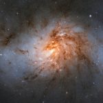 Galaxy NGC 1022