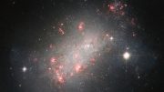 Galaxy NGC 1156 Crop