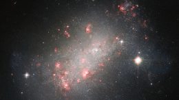 Galaxy NGC 1156 Crop
