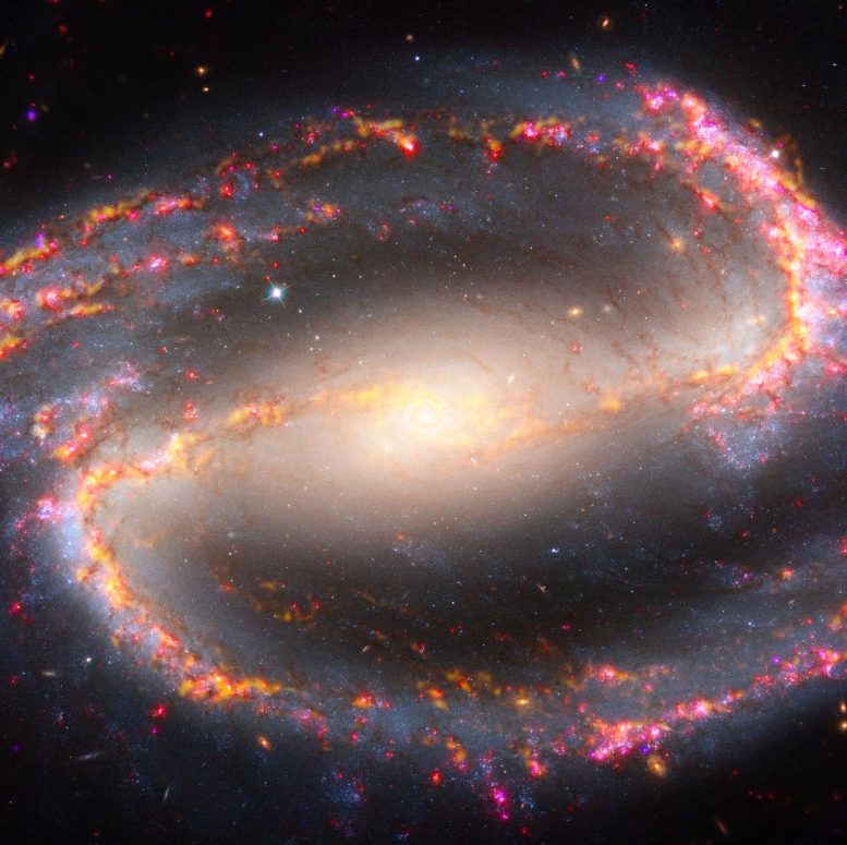 Galaxy NGC 1300
