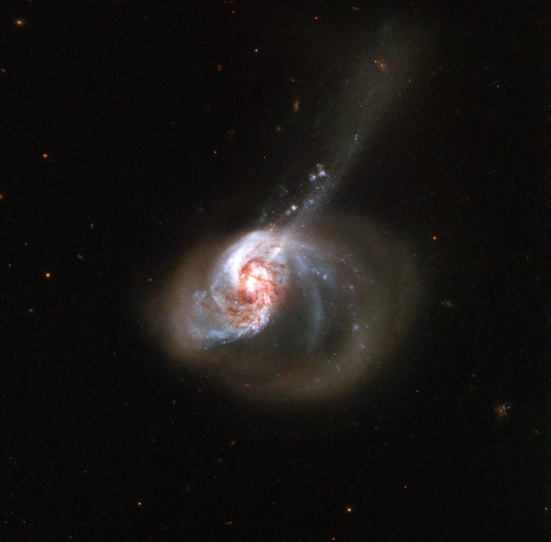 Galaxy NGC 1614