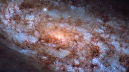 Galaxy NGC 1792 Stellar Forge
