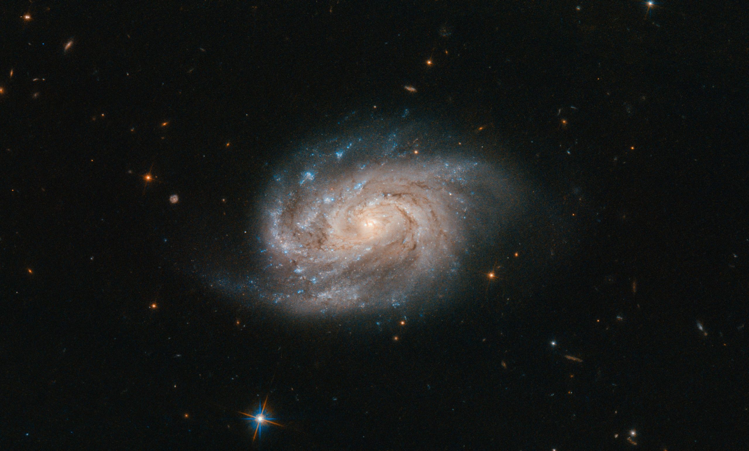 Hubble Space Telescope Spies NGC 1803 in the Painter's Easel