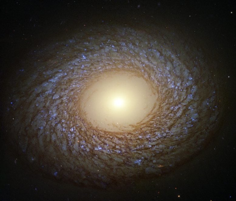 The galaxy NGC 2775