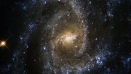Galaxy NGC 2835