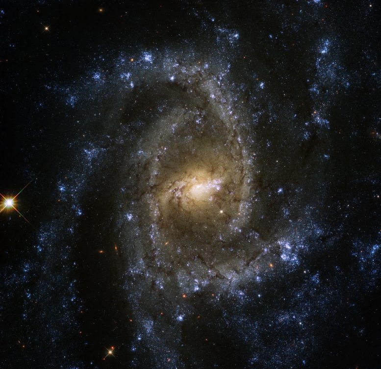 Galaxy NGC 2835