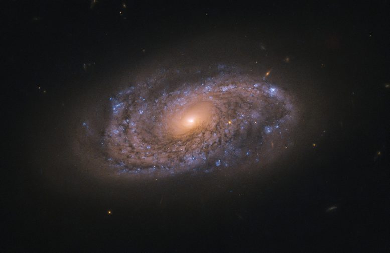 Galaxy NGC 2906