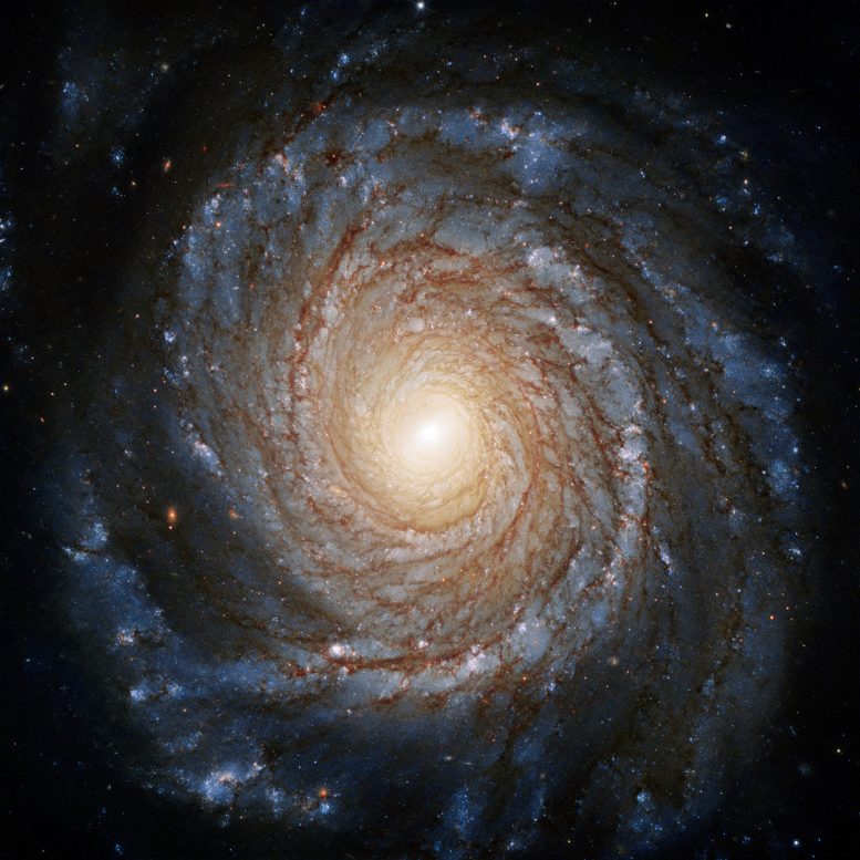 Galaxy NGC 3147