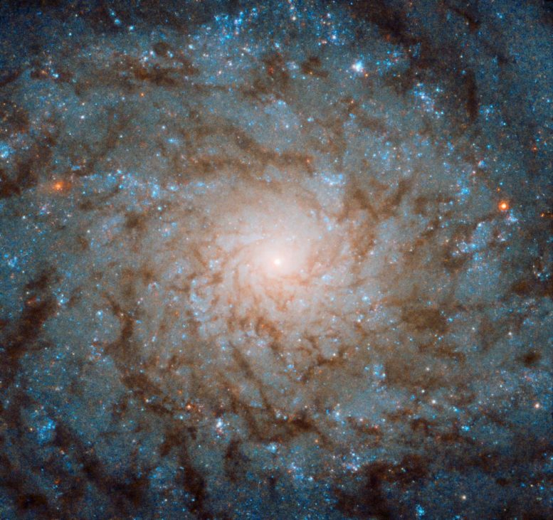 Galaxy NGC 4689