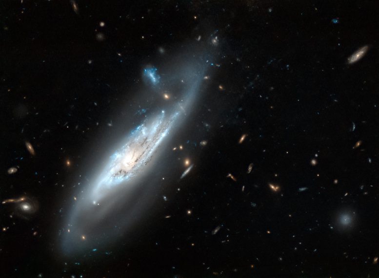 Galaxy NGC 4848