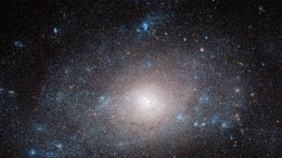 Galaxy NGC 5585