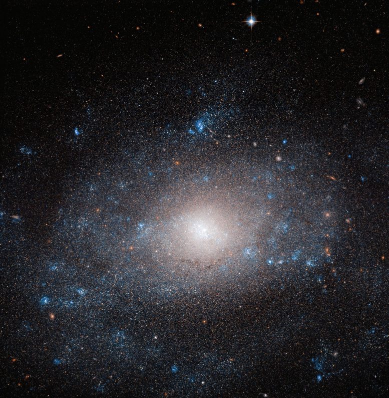 Galaxy NGC 5585