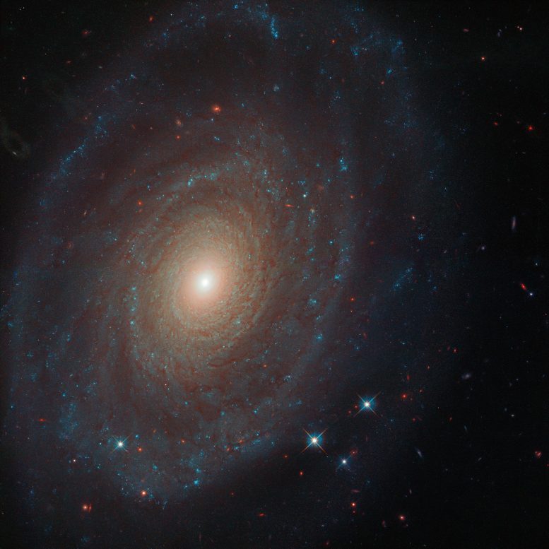 Galaxy NGC 691