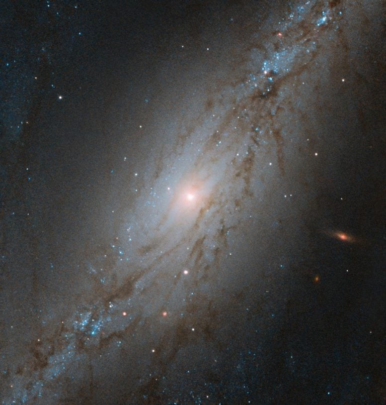 Galaxy NGC 7513