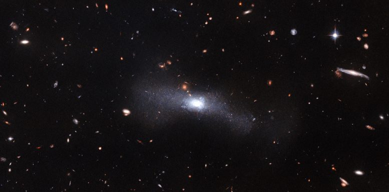 Galaxy SDSS J103512.07+461412.2