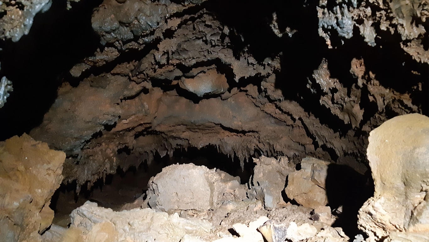 Gallery of the Lost Goat in Caverne de la Tortue