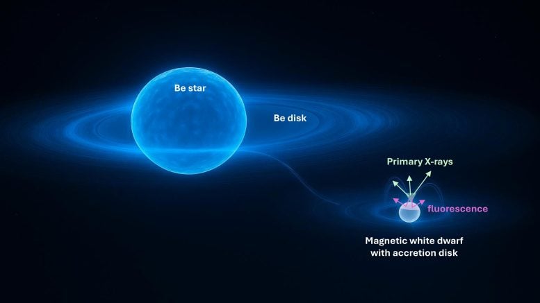 Gamma Cas System