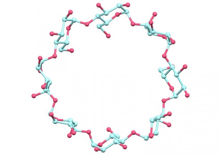 Gamma-Cyclodextrin