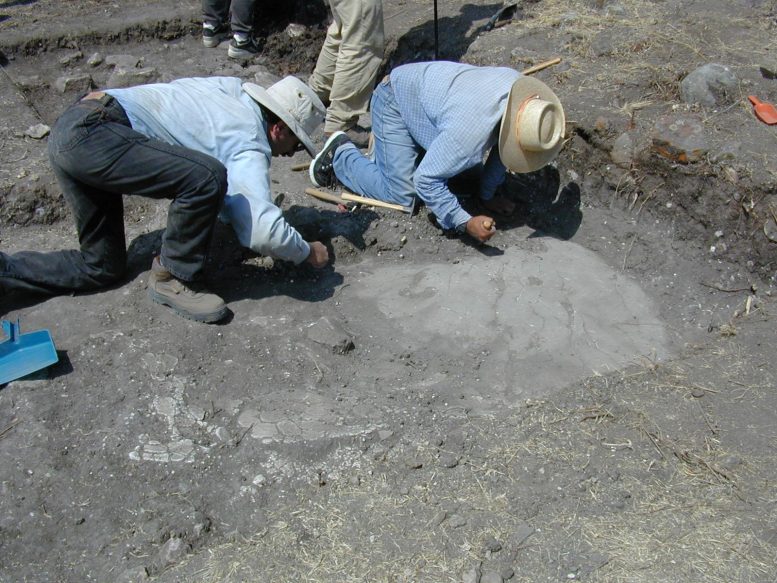 Gary Feinman and a Crew Member Exposing a Plaster Floor