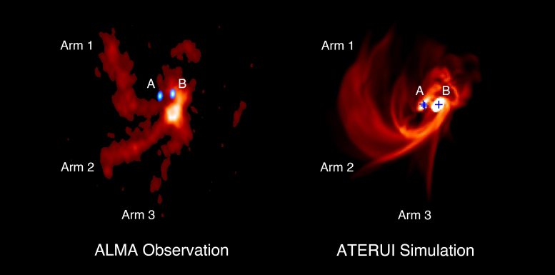 Distribution de gaz autour des protostars trinaires IRAS 04239+2436
