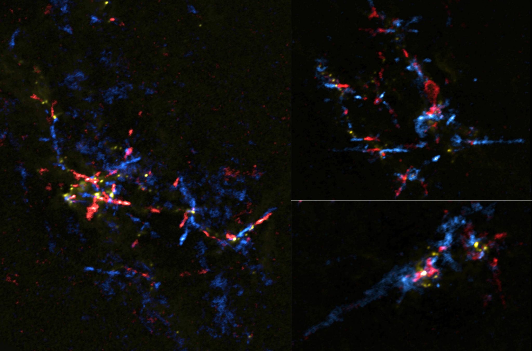 Astronomers Spot Stellar Eggs Near Center of the Milky Way Hatching ...