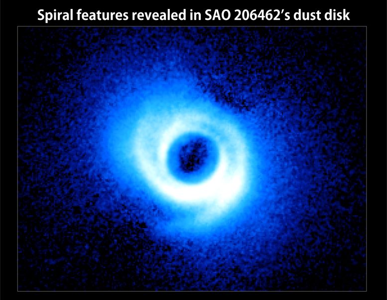 Gas Rich Disk Around SAO 206462