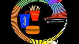 Gene-Diet Interactions in Obesity