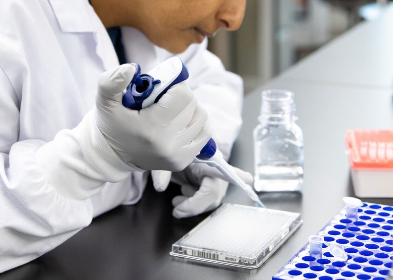 Gene Editing Tool CRISPR KOALA