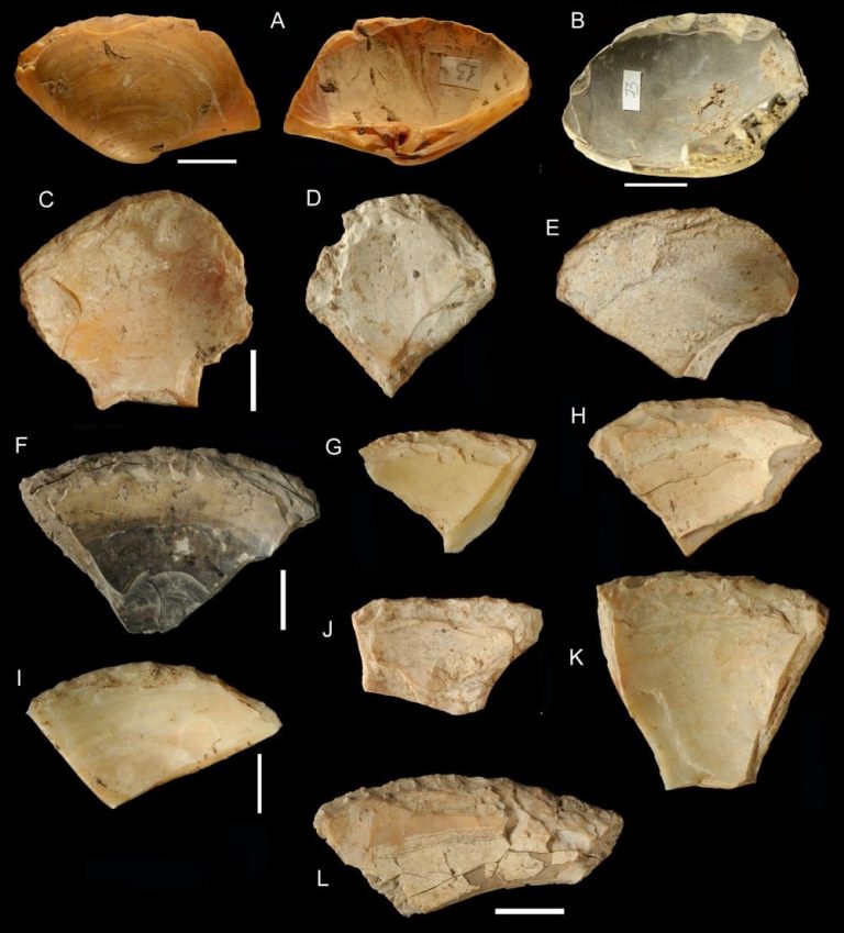 Prehistorical Shell Instrument Neandertals Dove Underwater to Collect Clam Shells to Use as Tools