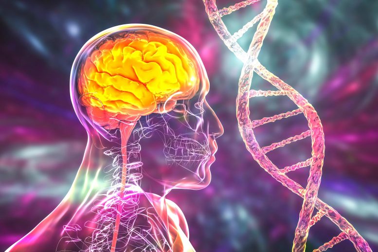 Genetic Brain Disorders DNA Helix