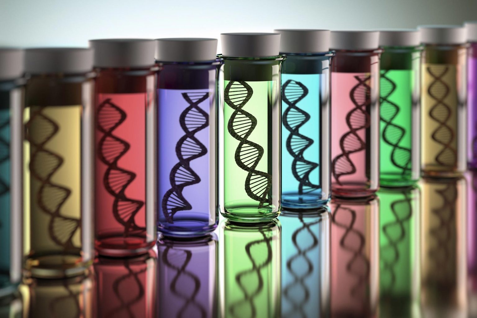 Zoonomia Project A Genomic Odyssey Across 240 Mammalian Species