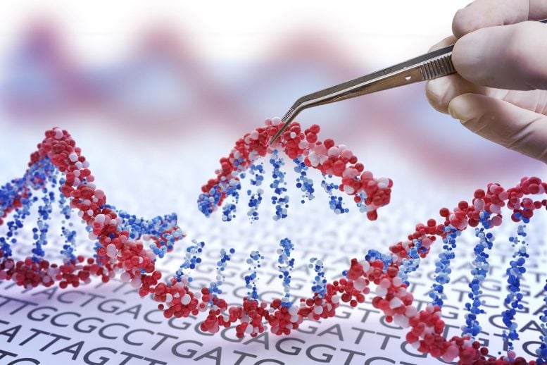 Genetic Engineering Hand Inserting DNA Sequence