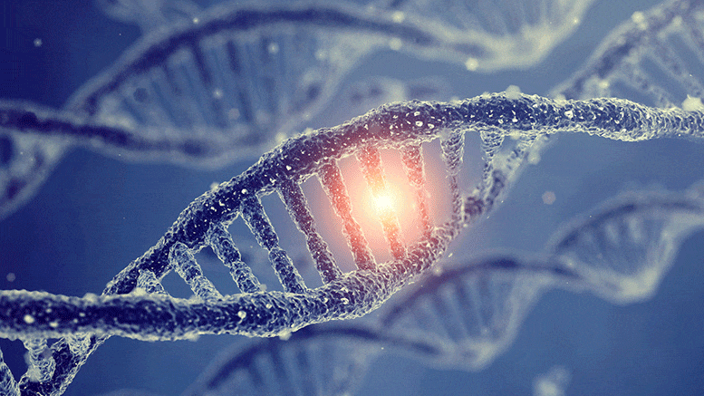 Photo of Mutácie DNA sa nedejú náhodne – objav mení náš pohľad na evolúciu