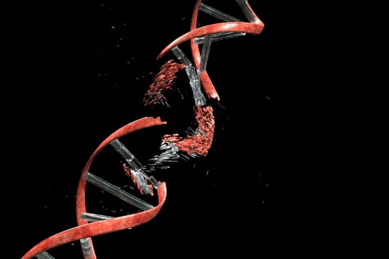 Scientists Find a Surprising Weak Point in Rare Genetic Disease