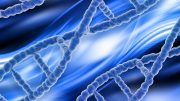 Genetics DNA Strands