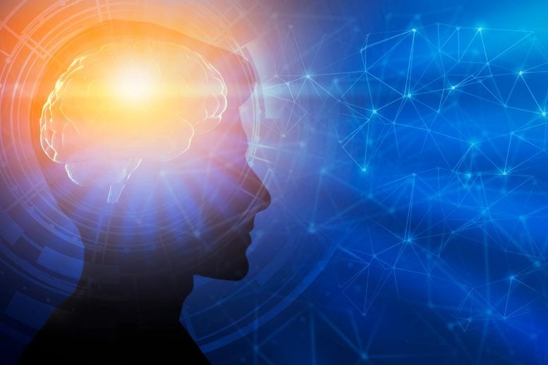 Your Brain Has Five Secret Ages, and One Lasts Most Of Your Life