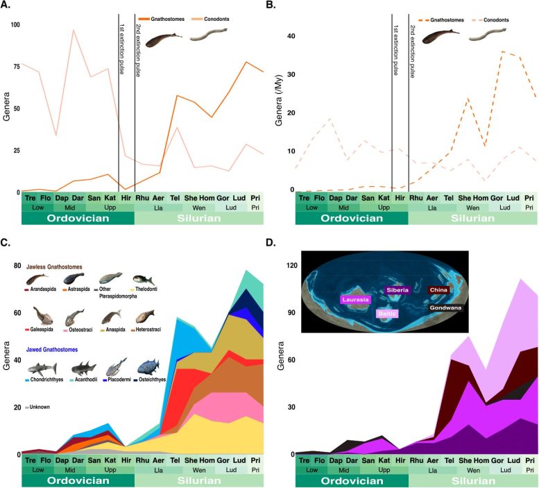 Genus-Level Diversity Curves for Gnathostomes From the Ordovician to the Silurian Periods