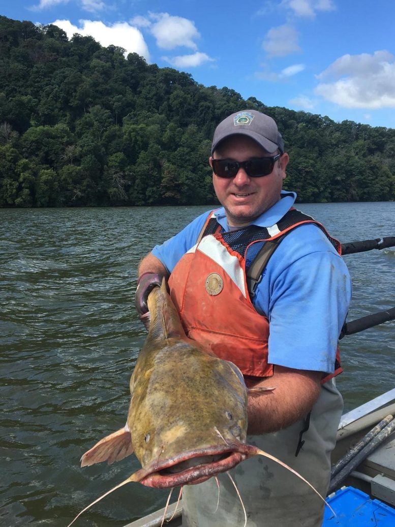 Geoffrey Smith Flathead Catfish