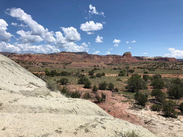 Ghost Ranch Lands and Late Triassic Rocks Hayden Quarries